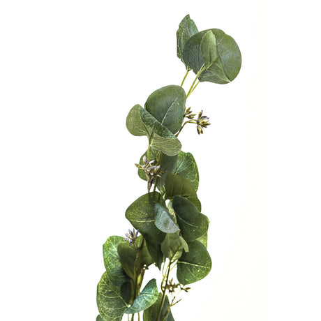 eucalyptus stem spray