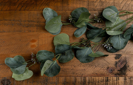 eucalyptus stem spray