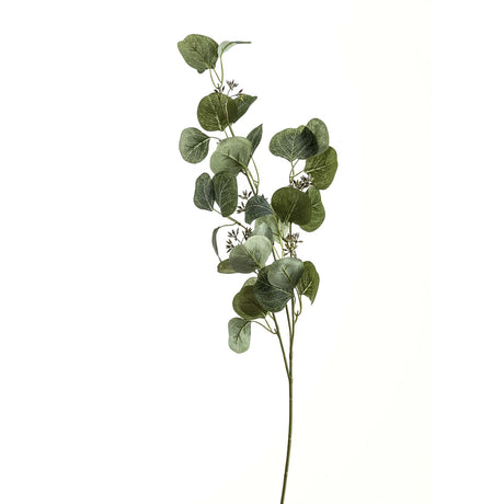 eucalyptus stem spray