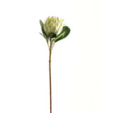 Auriane Large Green Protea