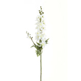 tall white delphinium stem