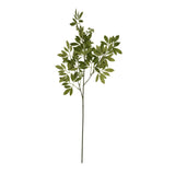 long fennel stem