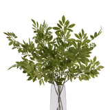 long fennel stem