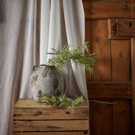 broom stem