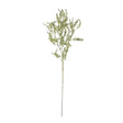 broom stem