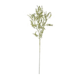 broom stem