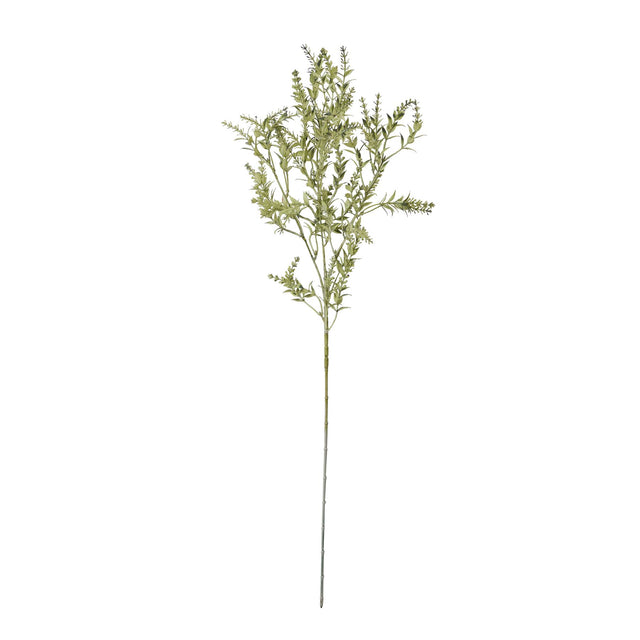 broom stem