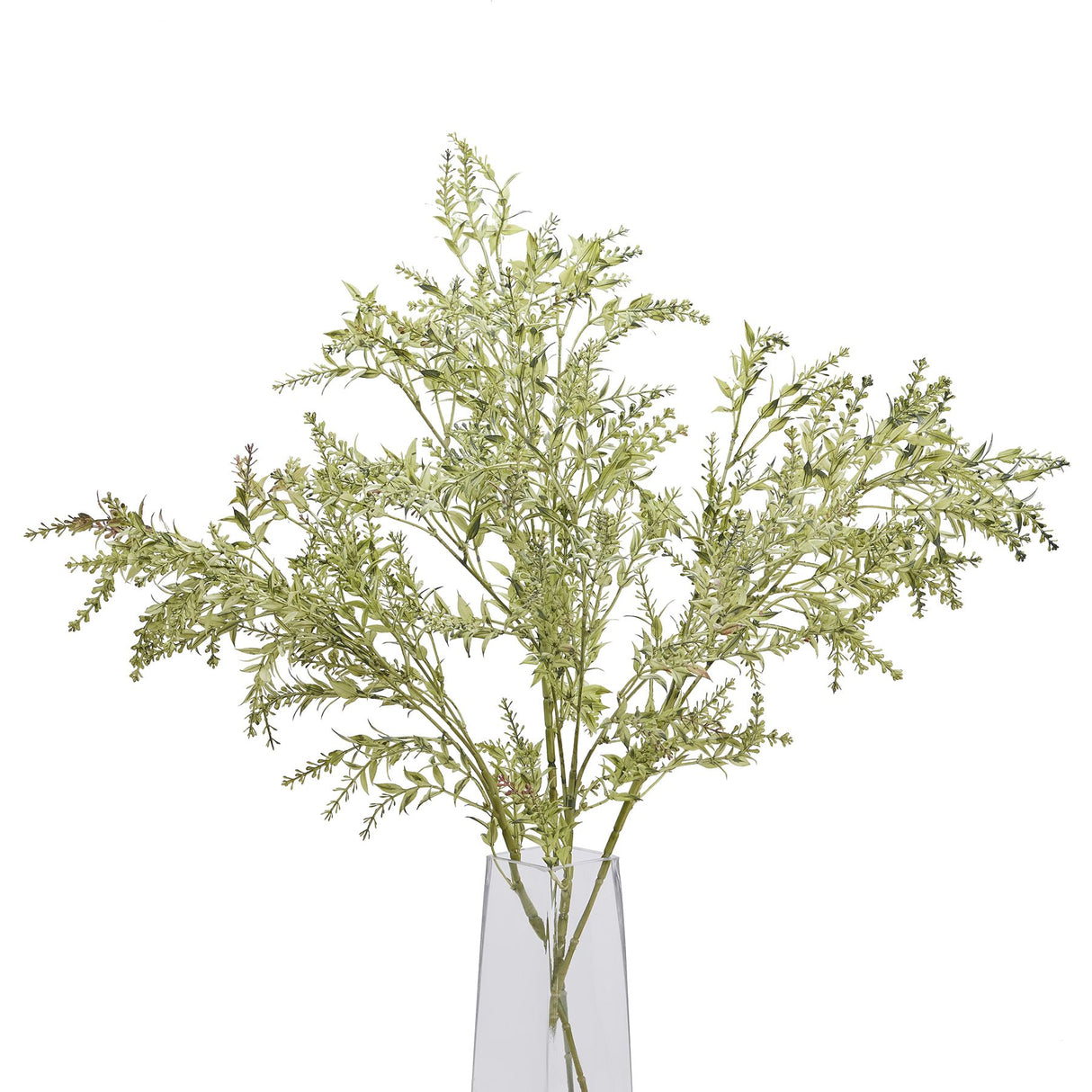 broom stem