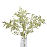 broom stem
