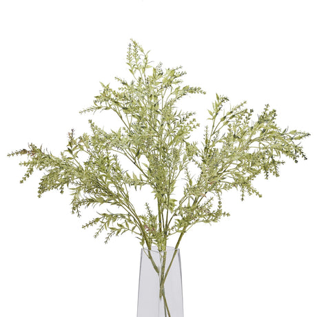 broom stem