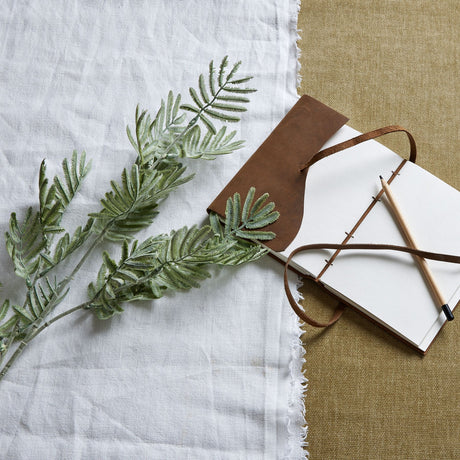 silver wattle leaf