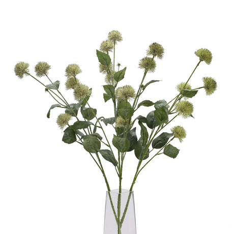 thistle globe stem