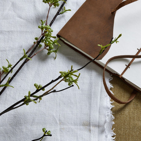 green berry willow stem
