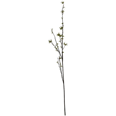 green berry willow stem
