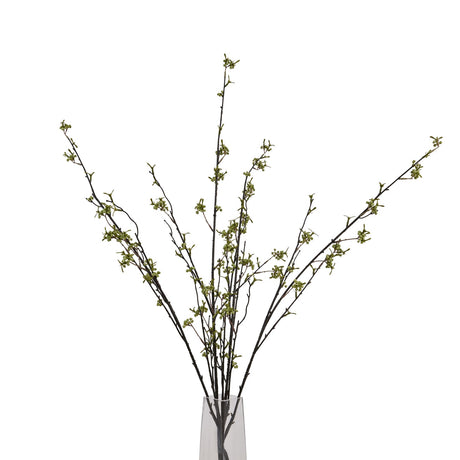 green berry willow stem