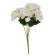 white hydrangea bunch