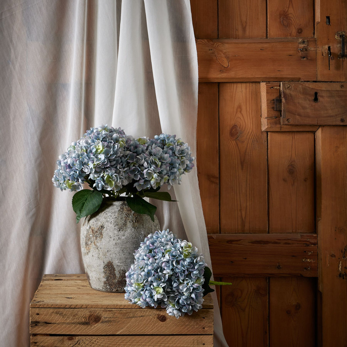 blue hydrangea bunch