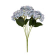 blue hydrangea bunch