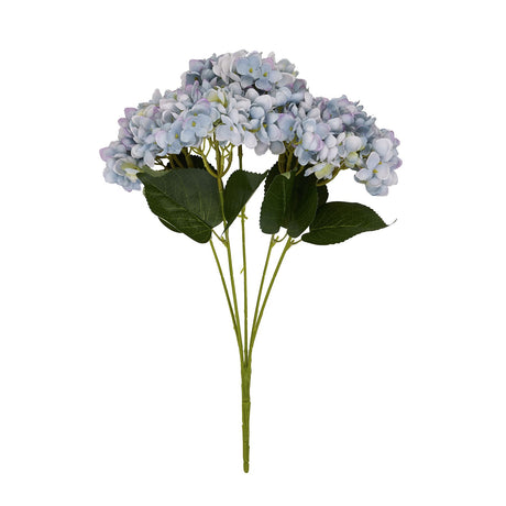 blue hydrangea bunch
