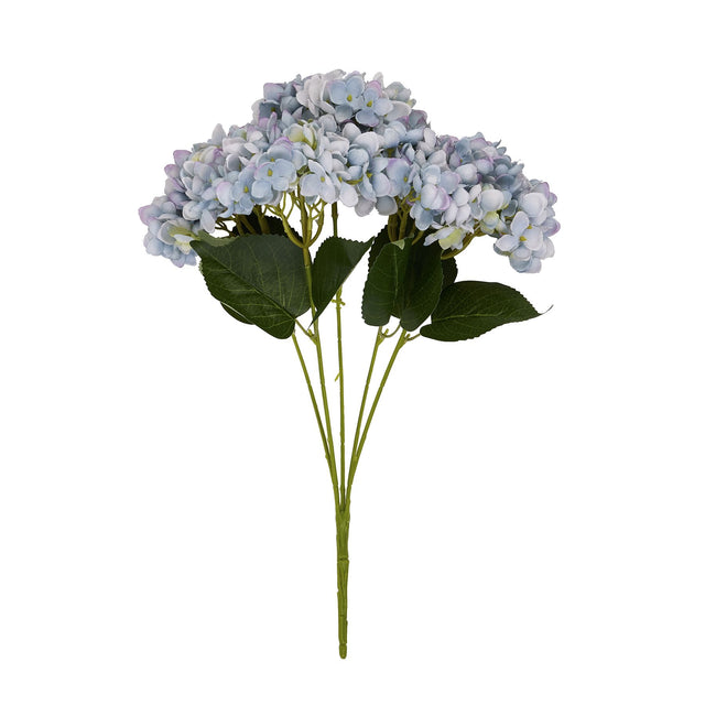blue hydrangea bunch