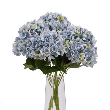 blue hydrangea bunch