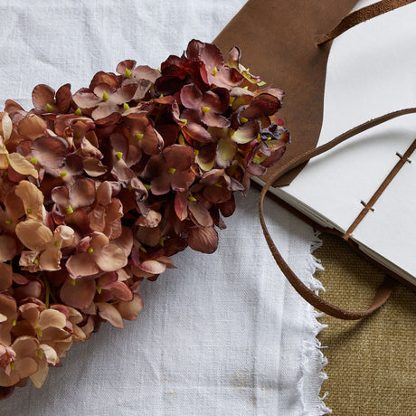 burgundy spear hydrangea