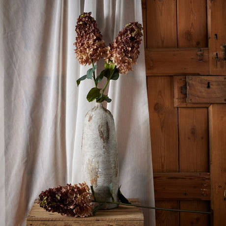 burgundy spear hydrangea