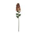 burgundy spear hydrangea