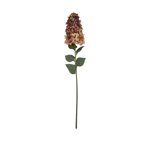 burgundy spear hydrangea