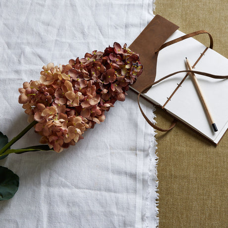 burgundy spear hydrangea