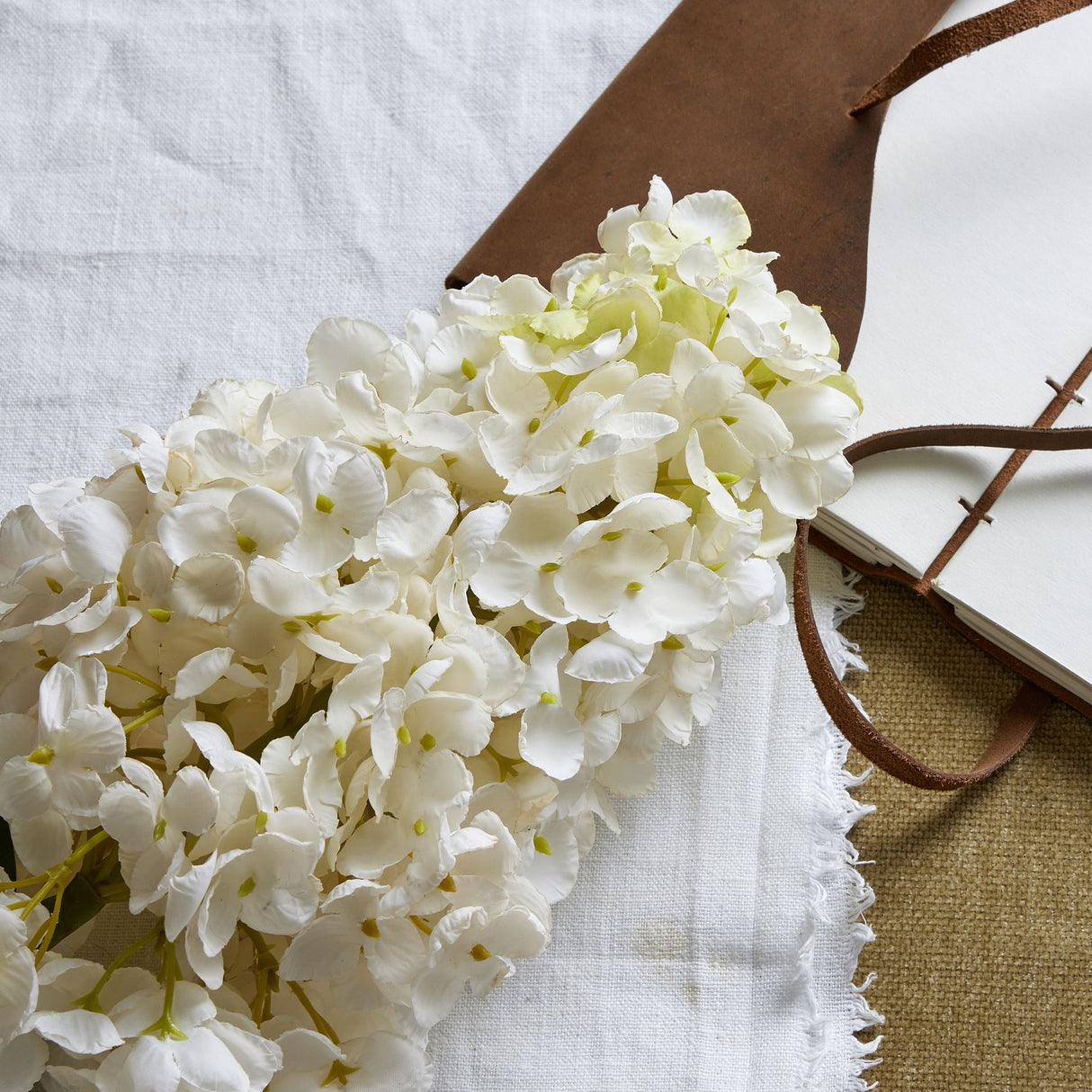 white spear hydrangea