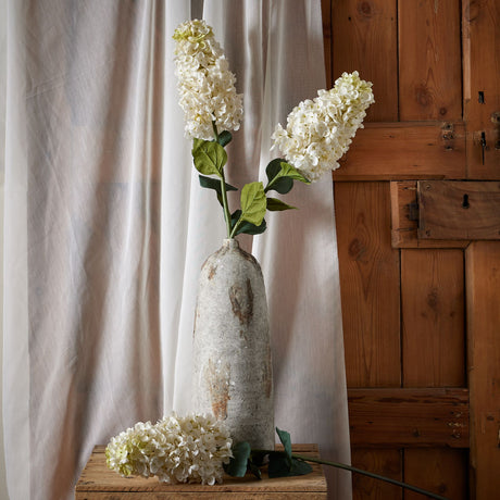 white spear hydrangea