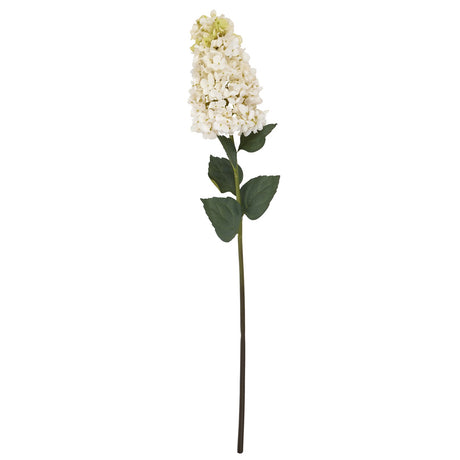 white spear hydrangea