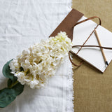 white spear hydrangea