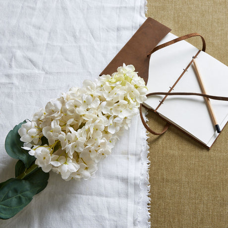 white spear hydrangea