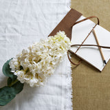 Josiane White Spear Hydrangea