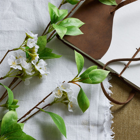 tall mock orange spray