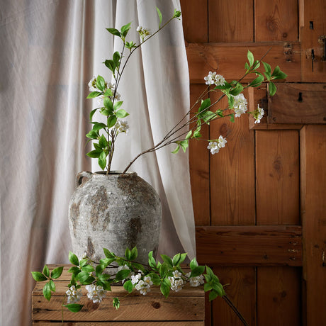 tall mock orange spray