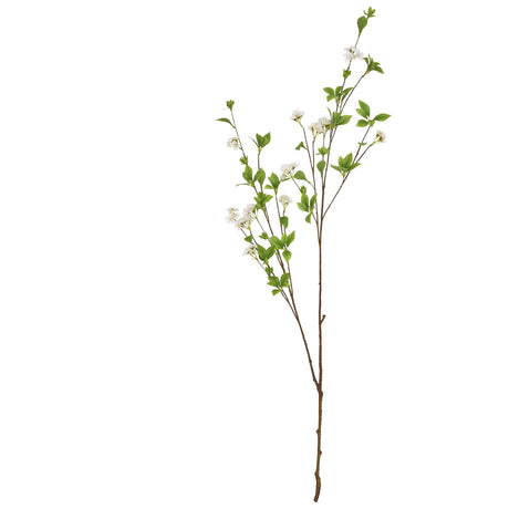 tall mock orange spray