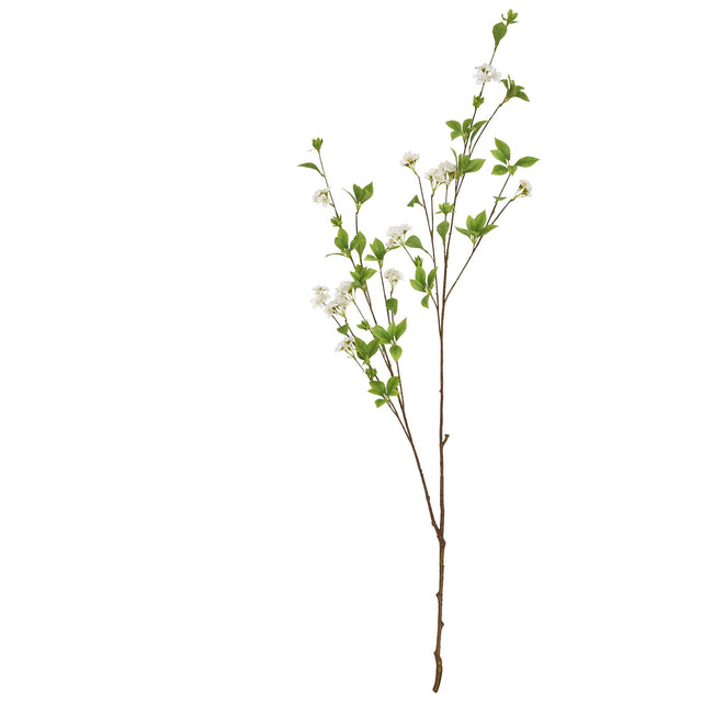tall mock orange spray