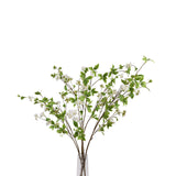 tall mock orange spray