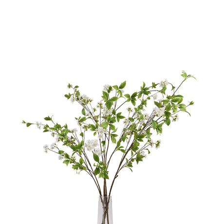 tall mock orange spray