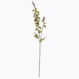 tall green hops stem