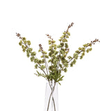 tall green hops stem