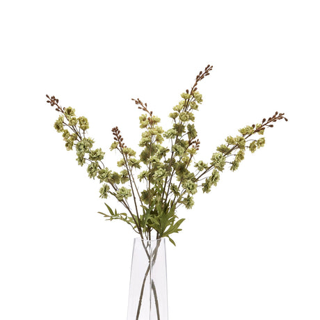 tall green hops stem