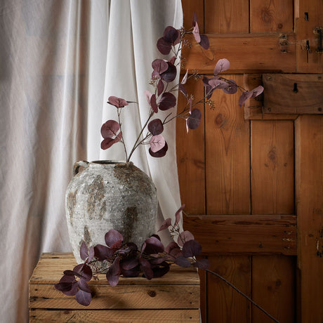 burgundy berried eucalyptus