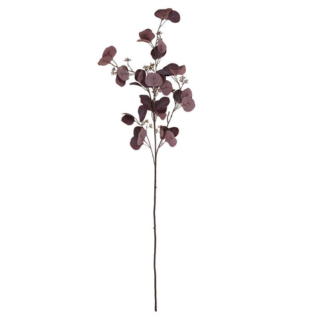 burgundy berried eucalyptus