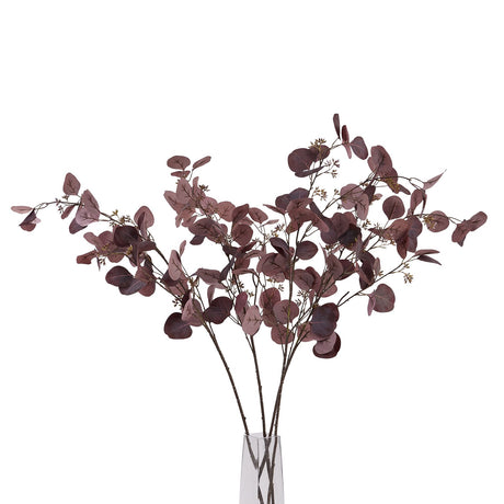burgundy berried eucalyptus