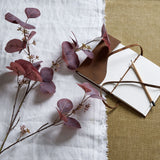 Brune Burgundy Berried Eucalyptus