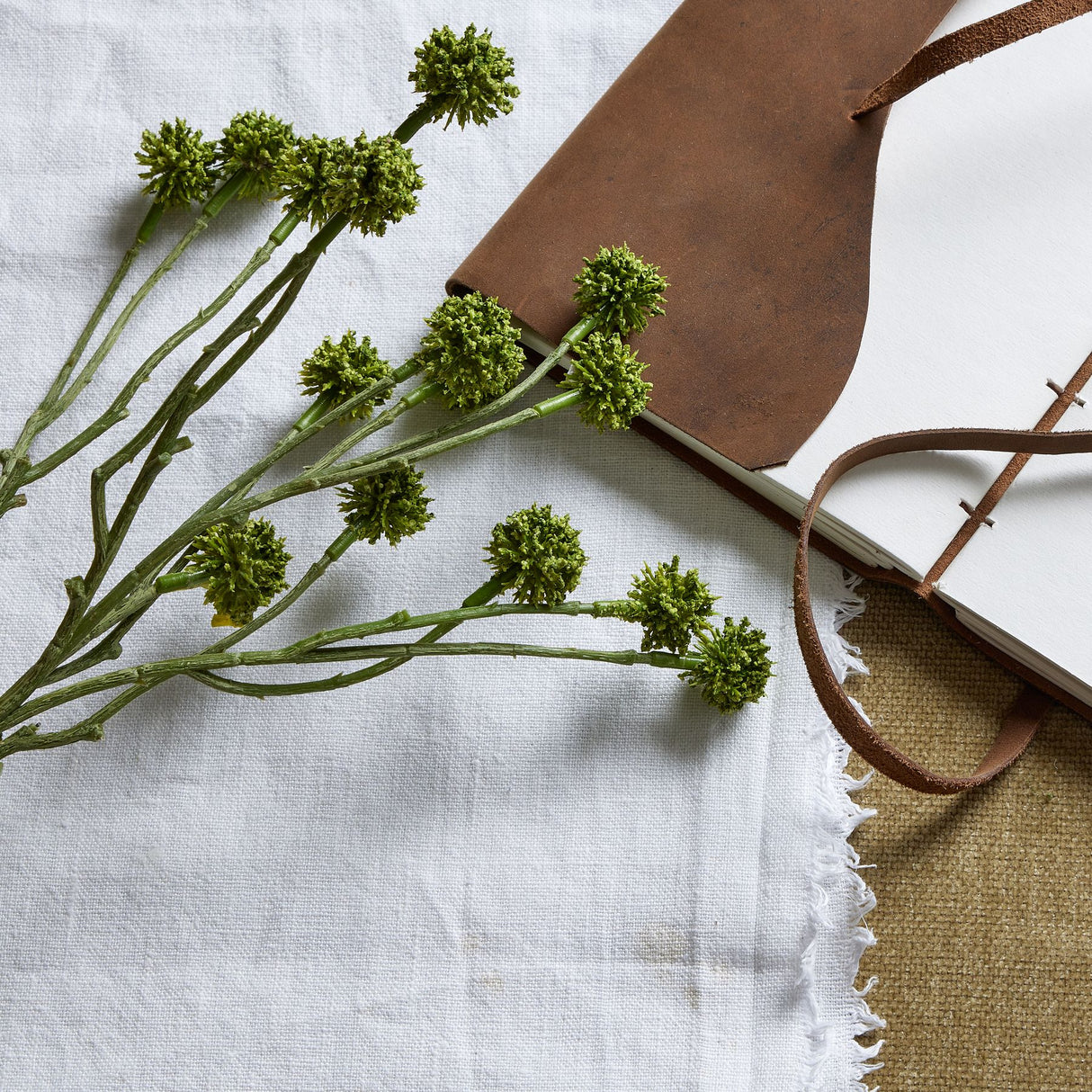 green craspedia stem